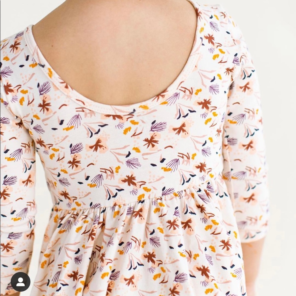 Alice + Ames Ballet Dress